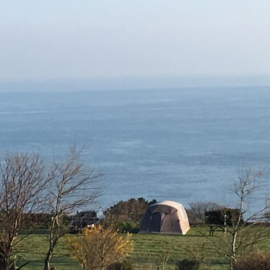 Little Meadow Caravan and Camping Site