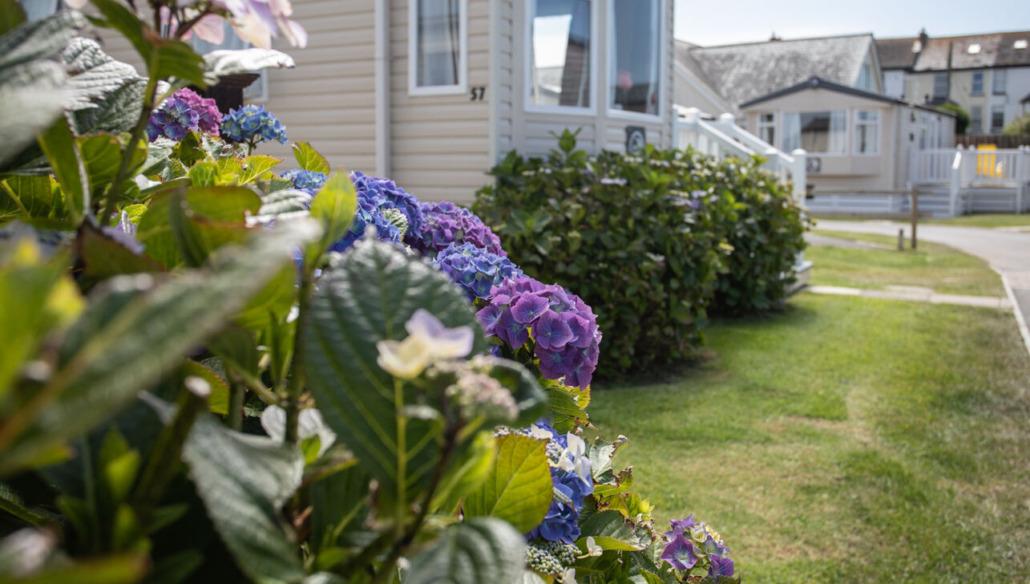 Surf Bay Holiday Park