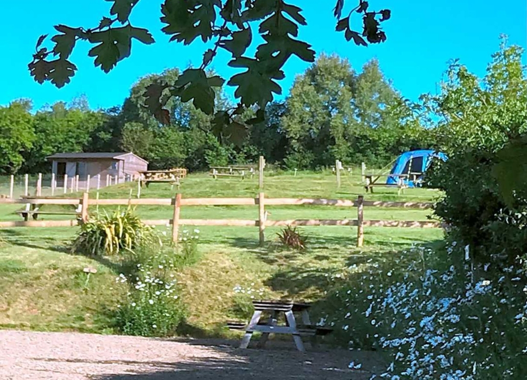 Broad Park Camping and Glamping