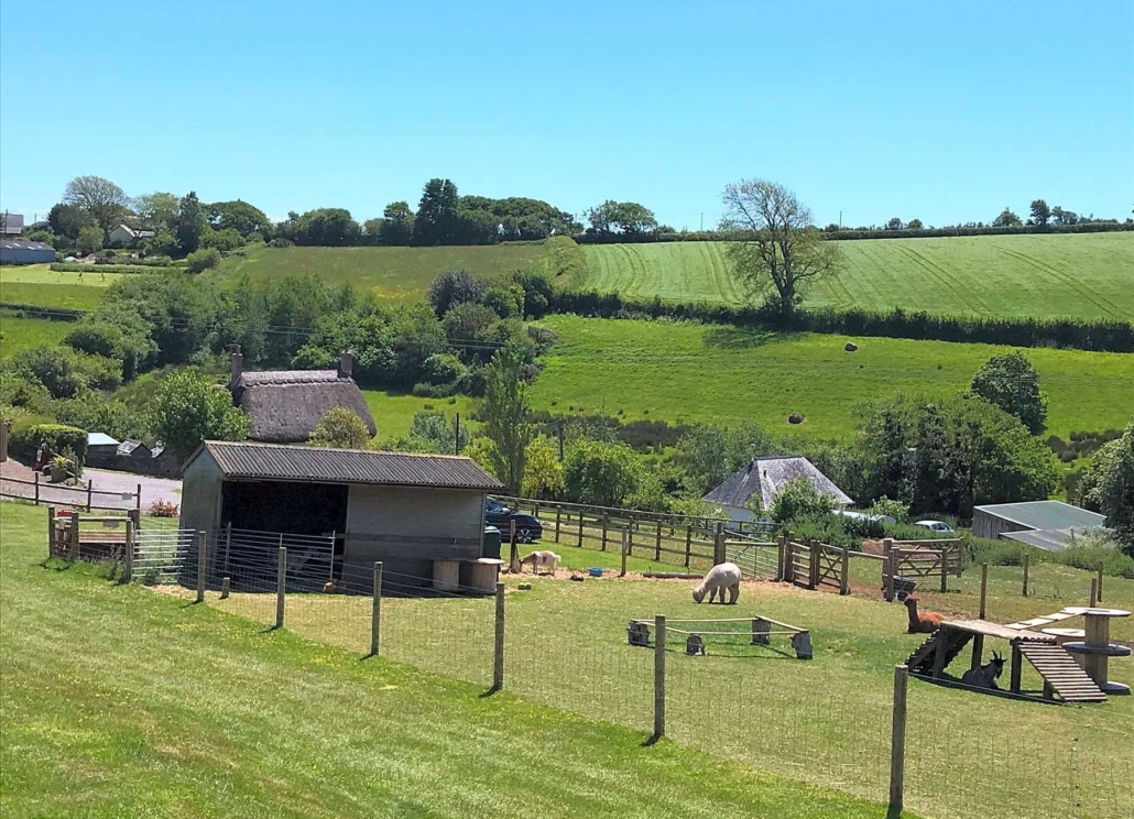 Broad Park Camping and Glamping