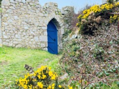 lundy-island (3)