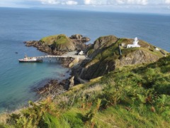 lundy-island (5)