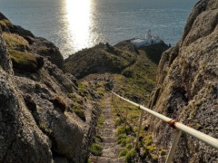 lundy-island (6)