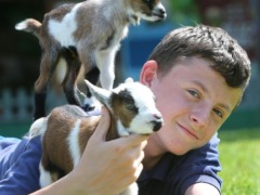 thebigsheep (1)