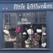 Kittiwakes Bideford