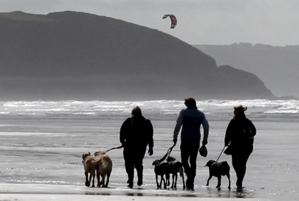 Northam Burrows Dog Walking