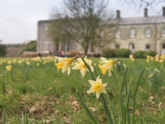 Arlington Court Arlington Court