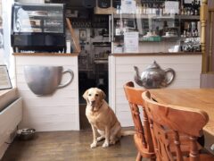 Cafe Collective