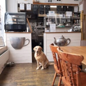 Cafe Collective