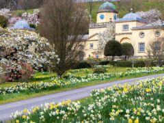 Castle Hill Garden