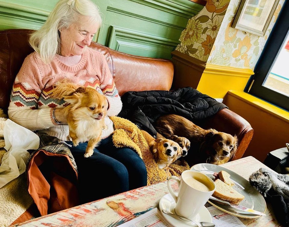 dogs are welcome in Tarko Lounge
