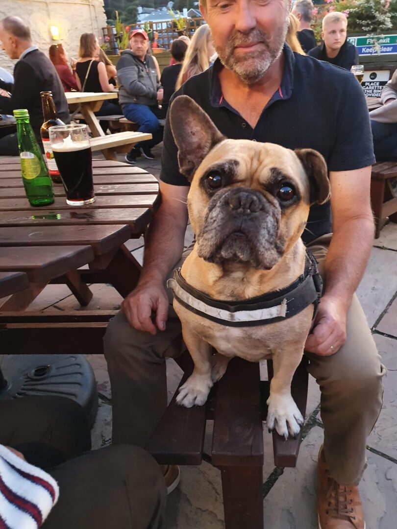 dogs are welcomed in Wellington Arms