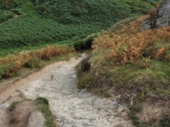 gp_bennett_s_mouth_4