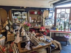 gp_blooms_of_bideford_2_EU_C4