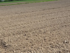 Braunton Great Fields Braunton Great Fields