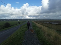 gp_braunton_great_fields_3