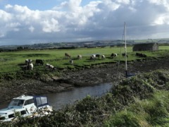 gp_braunton_great_fields_4