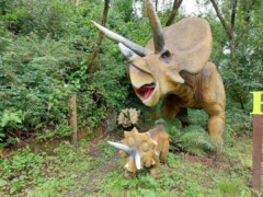 gp_combe_martin_wildlife___dinosaur_park_2