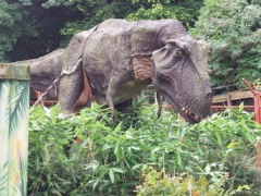 gp_combe_martin_wildlife___dinosaur_park_3
