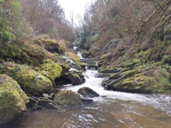 gp_glen_lyn_gorge_4