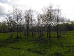 gp_kenwith_valley_nature_reserve_3