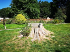 gp_rotary_gardens_3