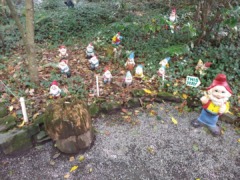 gp_the_gnome_reserve_and_wildflower_garden_2