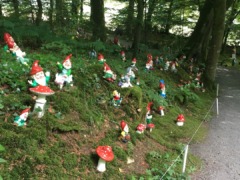 gp_the_gnome_reserve_and_wildflower_garden_4