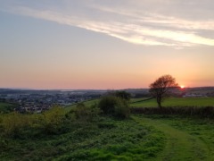 gp_yeo_valley_community_woodland_1