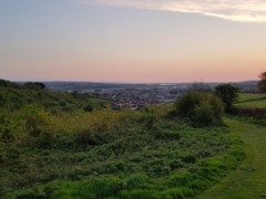 gp_yeo_valley_community_woodland_4