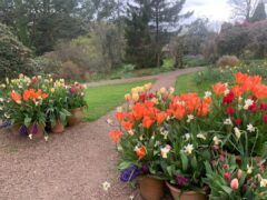 marwood_hill_garden