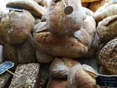 nature_nutrition-7