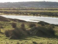 northam burrows country park