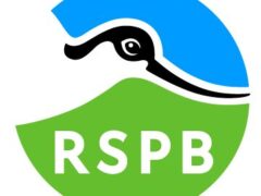 rspb_isley_marsh-1