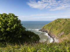 shipload-bay-east-titchberry-bideford-hartland-devon-1231242