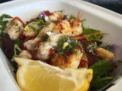 the-glorious-oyster-3