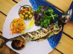 the-glorious-oyster-7