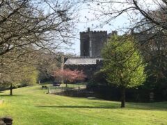watermouth castle watermouth castle