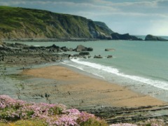 welcombe-image-2-aonb