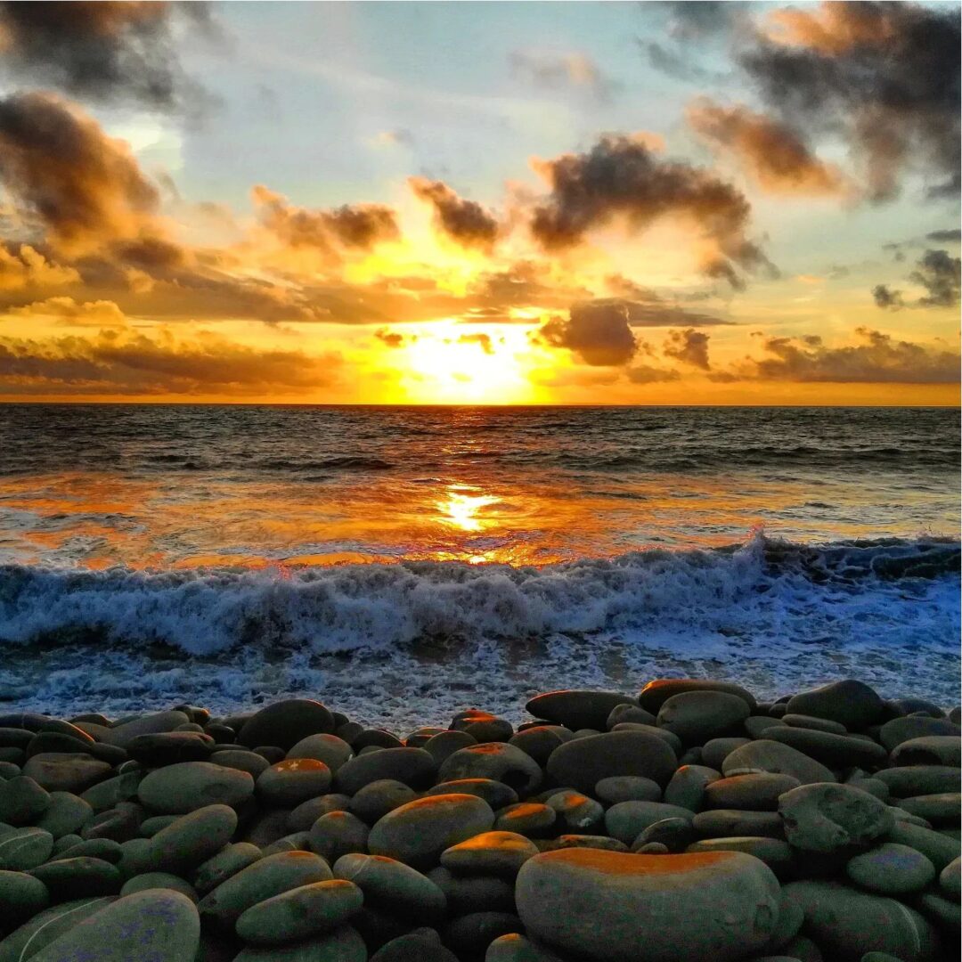 7 Reasons Why You Should Absolutely Avoid Westward Ho!