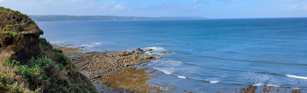 Seasons By the Coast of Devon