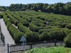 Hedge Maze (3)