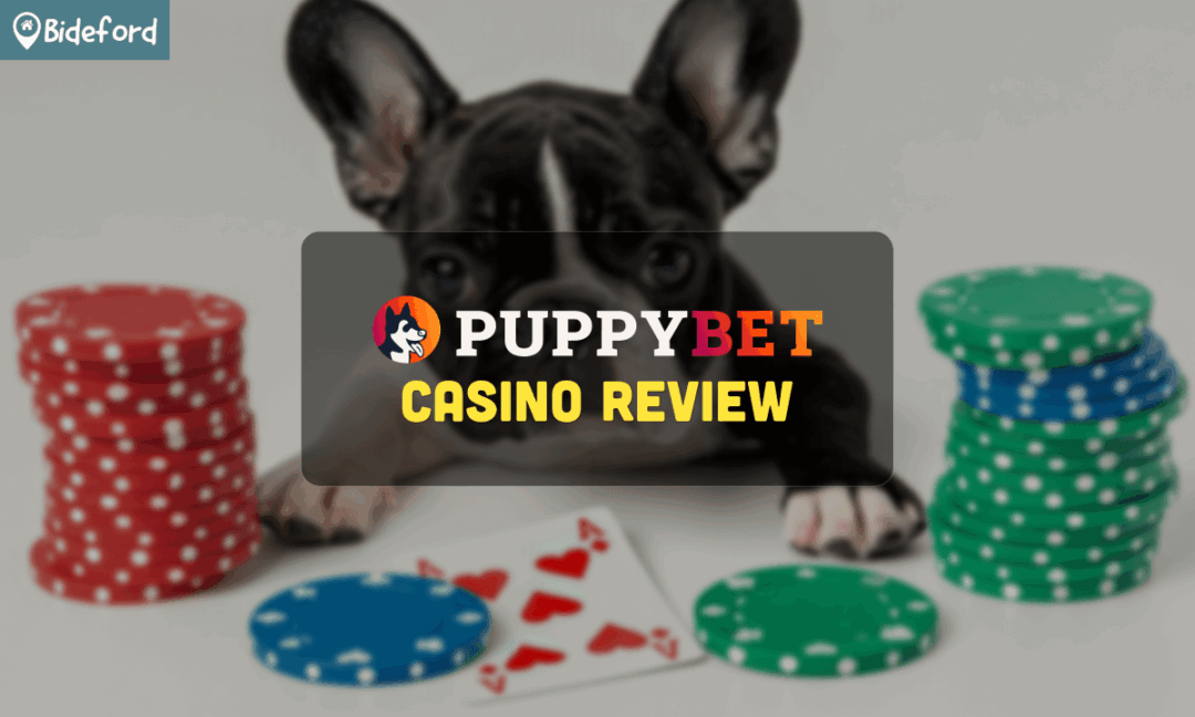 banner bideford puppybet