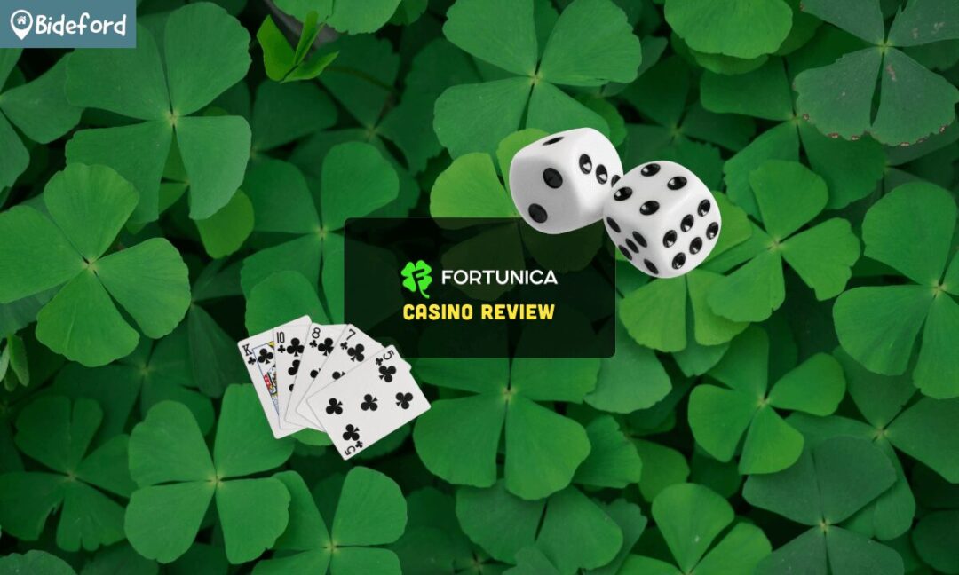 banner bideford fortunica