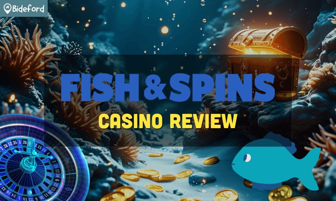 banner bideford - fishandspin