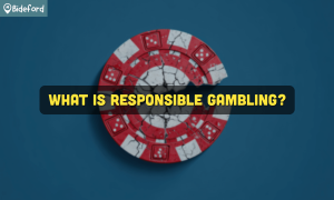banner bideford What Is Responsible Gambling