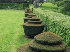 Tapeley Park Gardens (5)