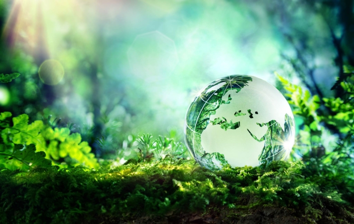 Sustainability 705x447