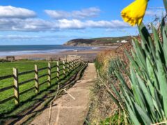 Croyde Beach (4)