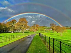 castle_hill_estate_4